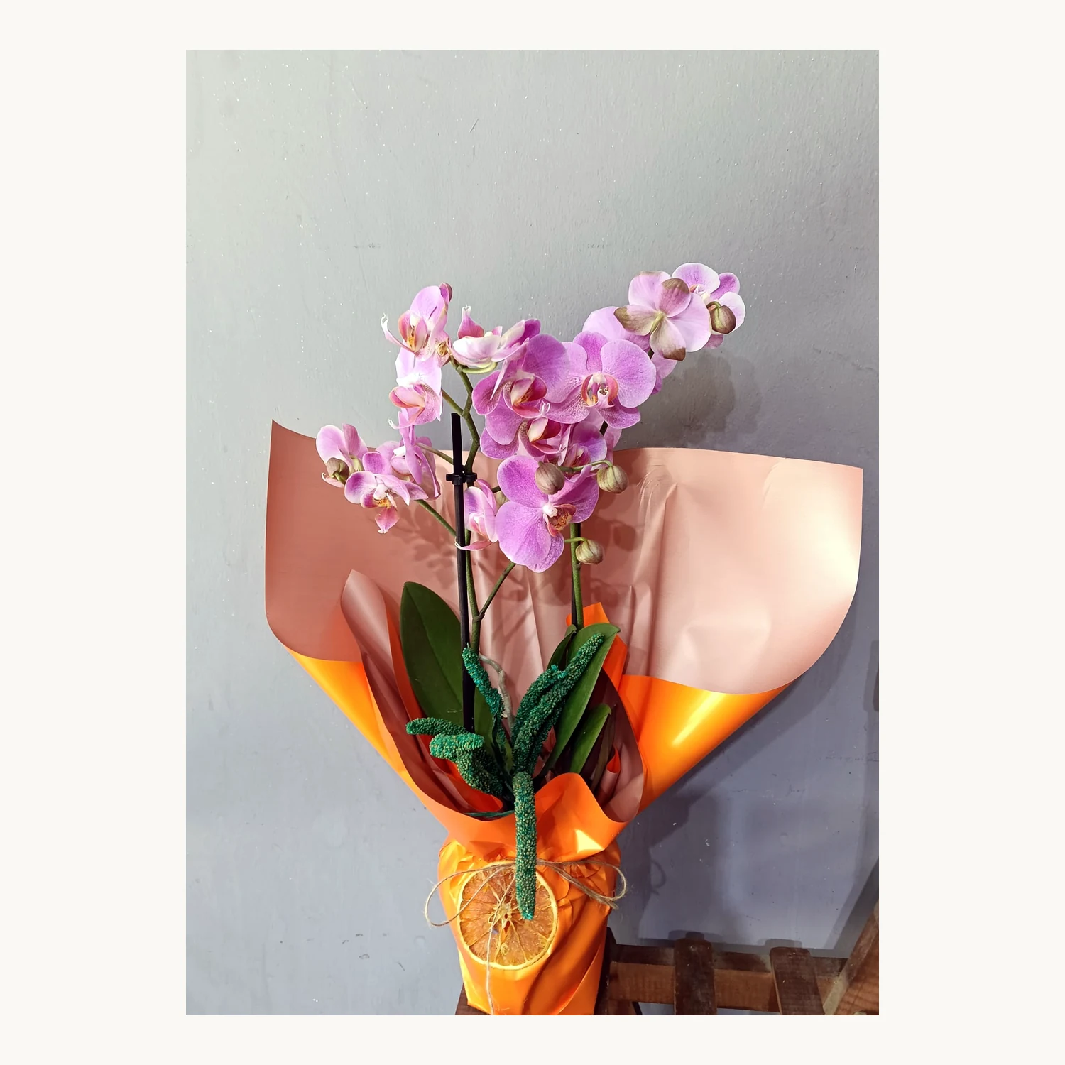 Pembe Orkide Zarafeti